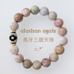 a3f6d5d8397c93ff54840460ec1907