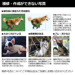 送料無料｜オーダーメイド-ペットの写真でアクリルスタンド 猫 犬：フォト 10枚目の画像