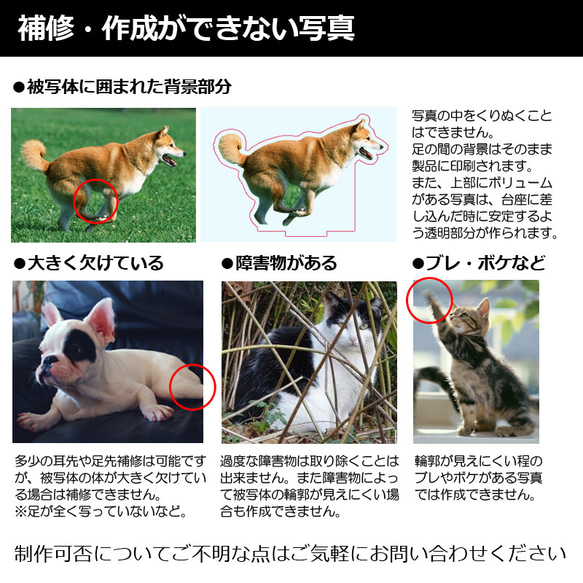 送料無料｜オーダーメイド-ペットの写真でアクリルスタンド 猫 犬：フォト 10枚目の画像