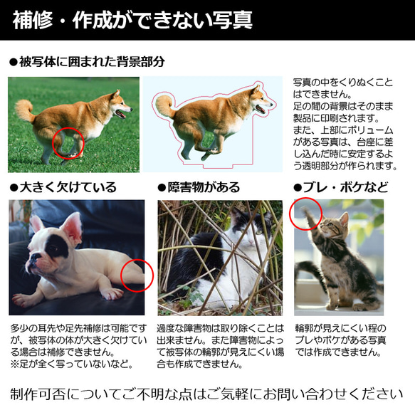 送料無料｜オーダーメイド-ペットの写真でアクリルスタンド 猫 犬：フォト 9枚目の画像