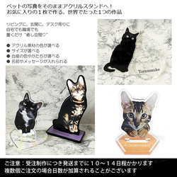 送料無料｜オーダーメイド-ペットの写真でアクリルスタンド 猫 犬：フォト 2枚目の画像