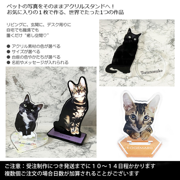 送料無料｜オーダーメイド-ペットの写真でアクリルスタンド 猫 犬：フォト 2枚目の画像