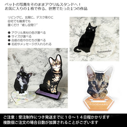 送料無料｜アクリルスタンド-サイズや台座が選べる！ペットの写真で作る オーダーメイド オリジナル アクスタ 猫 犬 2枚目の画像