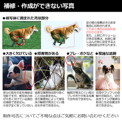 送料無料｜アクリルスタンド-サイズや台座が選べる！ペットの写真で作る オーダーメイド オリジナル アクスタ 猫 犬 11枚目の画像