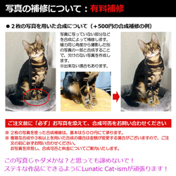 送料無料｜オーダーメイド-ペットの写真でアクリルスタンド 猫 犬：フォト 9枚目の画像