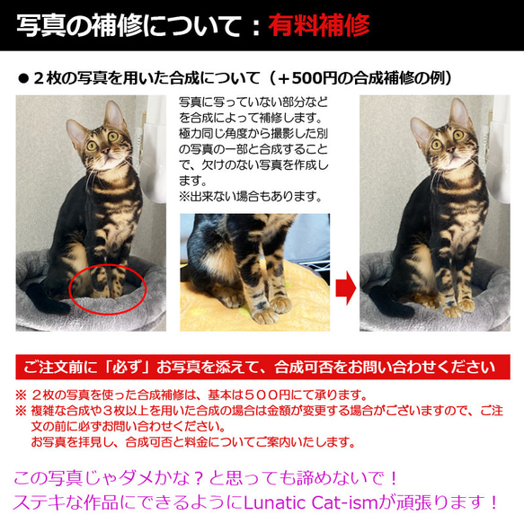 送料無料｜オーダーメイド-ペットの写真でアクリルスタンド 猫 犬：フォト 9枚目の画像