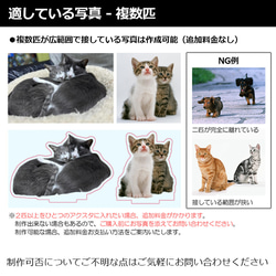 送料無料｜アクリルスタンド-サイズや台座が選べる！ペットの写真で作る オーダーメイド オリジナル アクスタ 猫 犬 8枚目の画像