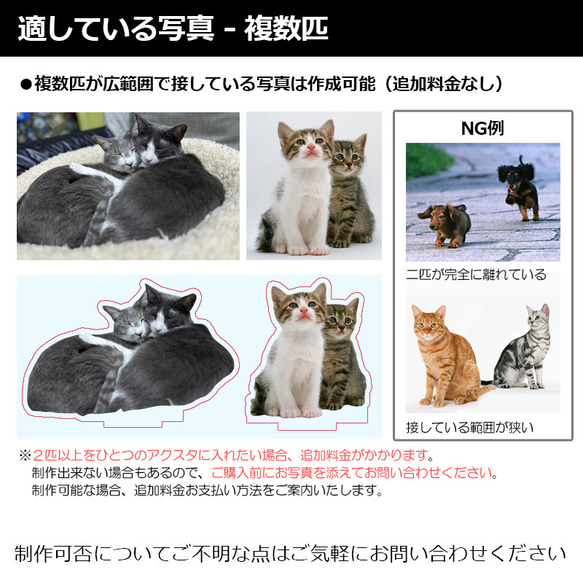 送料無料｜アクリルスタンド-サイズや台座が選べる！ペットの写真で作る オーダーメイド オリジナル アクスタ 猫 犬 8枚目の画像
