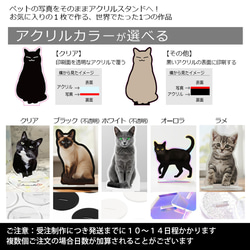 送料無料｜アクリルスタンド-サイズや台座が選べる！ペットの写真で作る オーダーメイド オリジナル アクスタ 猫 犬 3枚目の画像