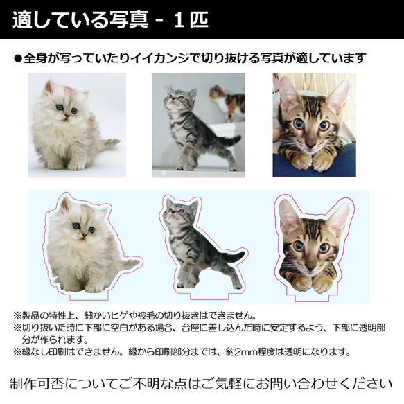 送料無料｜オーダーメイド-ペットの写真でアクリルスタンド 猫 犬：フォト 6枚目の画像