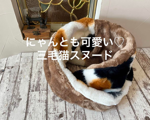 e5eb23e6ce52cd9c67f9b8025d831e