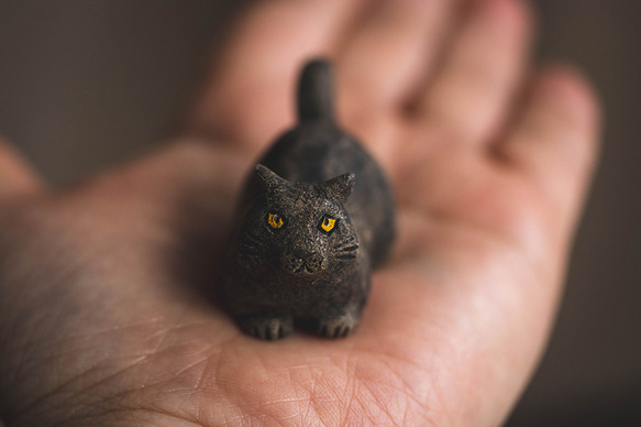黒猫のようなサビ猫のような【猫_782】 1枚目の画像