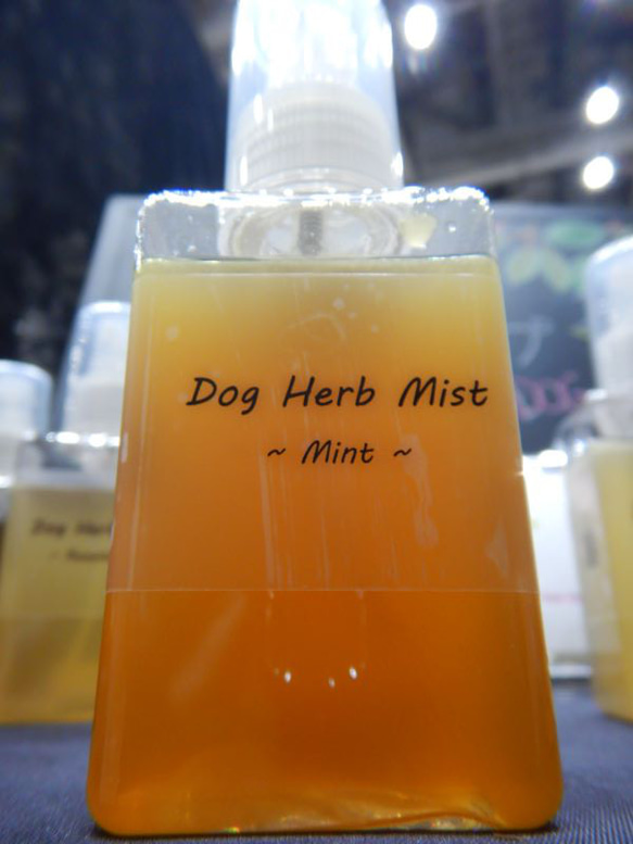 Dog Herb Mist 100ml（Rosemary , Mint）/ フケ・抜け毛、かゆみにブラッシング ケア 3枚目の画像