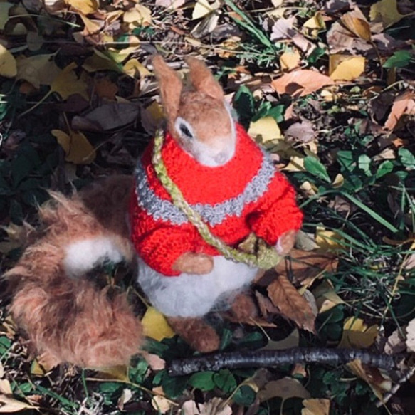 冬季セール☆羊毛フェルトの赤いセーターのキタリスA 3枚目の画像
