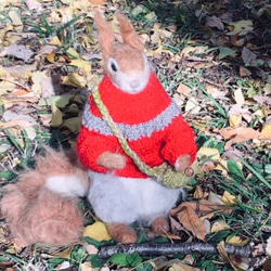 冬季セール☆羊毛フェルトの赤いセーターのキタリスA 1枚目の画像