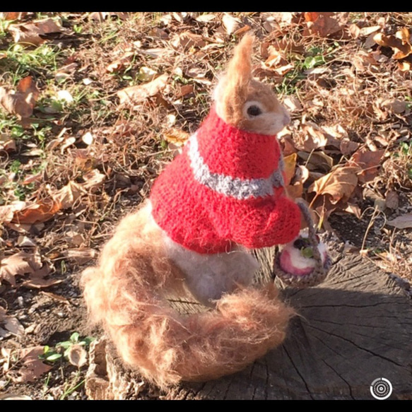 冬季セール☆羊毛フェルトの赤いセーターのキタリスA 9枚目の画像
