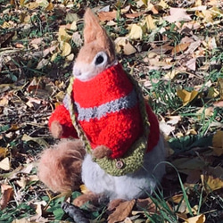 冬季セール☆羊毛フェルトの赤いセーターのキタリスA 2枚目の画像