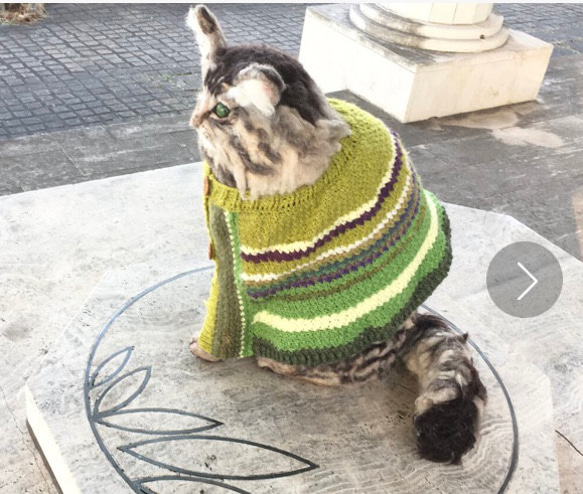 冬季セール☆羊毛フェルトのノルウェージャンフォレストキャットのミーちゃん 5枚目の画像