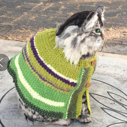 冬季セール☆羊毛フェルトのノルウェージャンフォレストキャットのミーちゃん 4枚目の画像