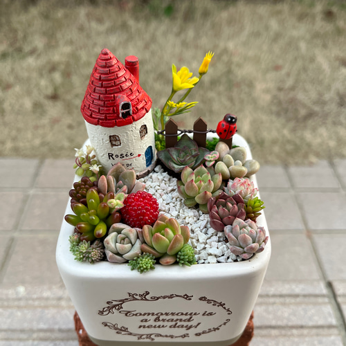★多肉植物　寄せ植え〜ねこちゃんの手作り水栓プランター〜★ ☆多肉植物寄せ植え〜ねこちゃんの手作り水栓プランター〜☆