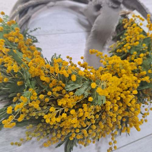 3.ミモザハーフリース ミモザホワイトミックス：ハーフリースM | andbloom