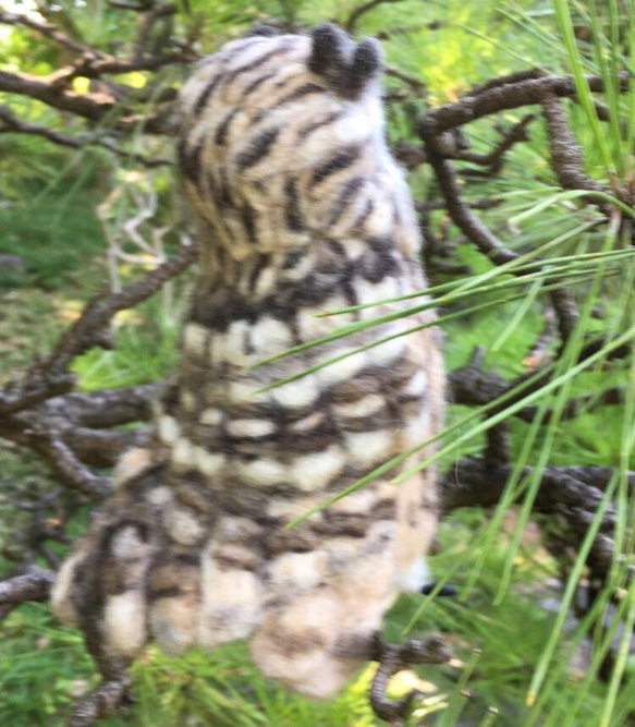 ☆羊毛フェルトのベンガルワシミミズクA 11枚目の画像