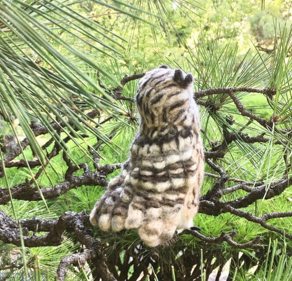 ☆羊毛フェルトのベンガルワシミミズクA 8枚目の画像