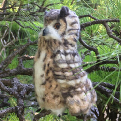 ☆羊毛フェルトのベンガルワシミミズクA 10枚目の画像