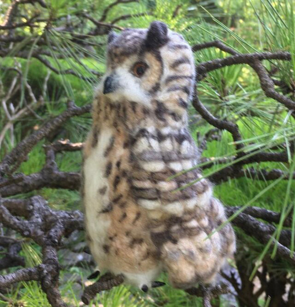 ☆羊毛フェルトのベンガルワシミミズクA 10枚目の画像