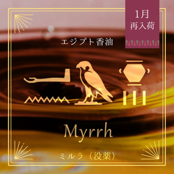 Egyptian oil - Nefertum 3ml- エジプト香油「ネフェルトゥム」 その他