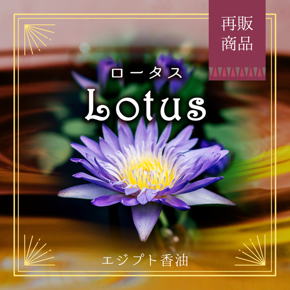 Egyptian oil - Lotus 3ml- エジプト香油「ロータス」 その他