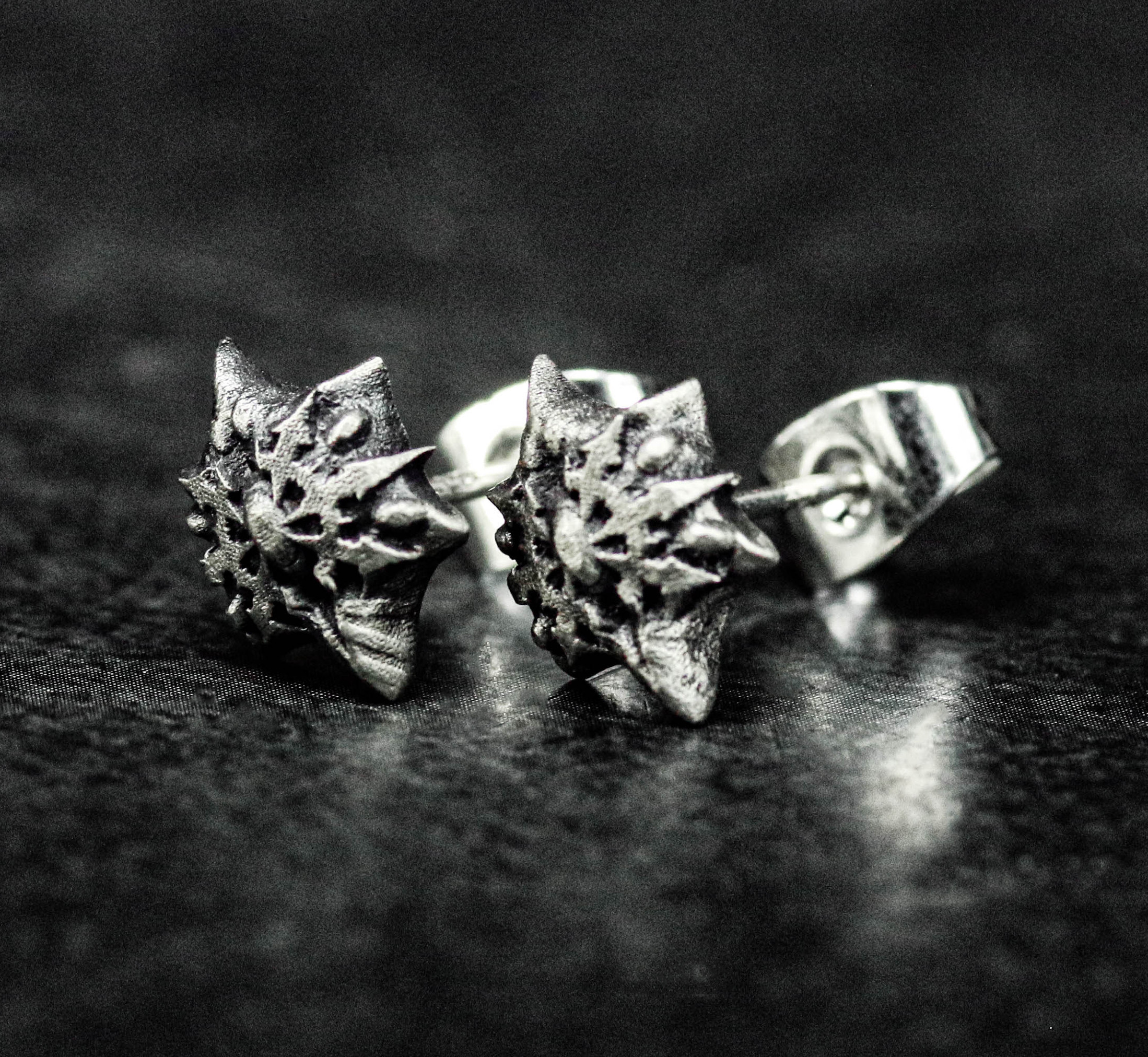 スターゲイトジュエリー 魔法のシルバーピアス ユニセックスジュエリー カートグラファージュエリー ブライダルギフト 花嫁