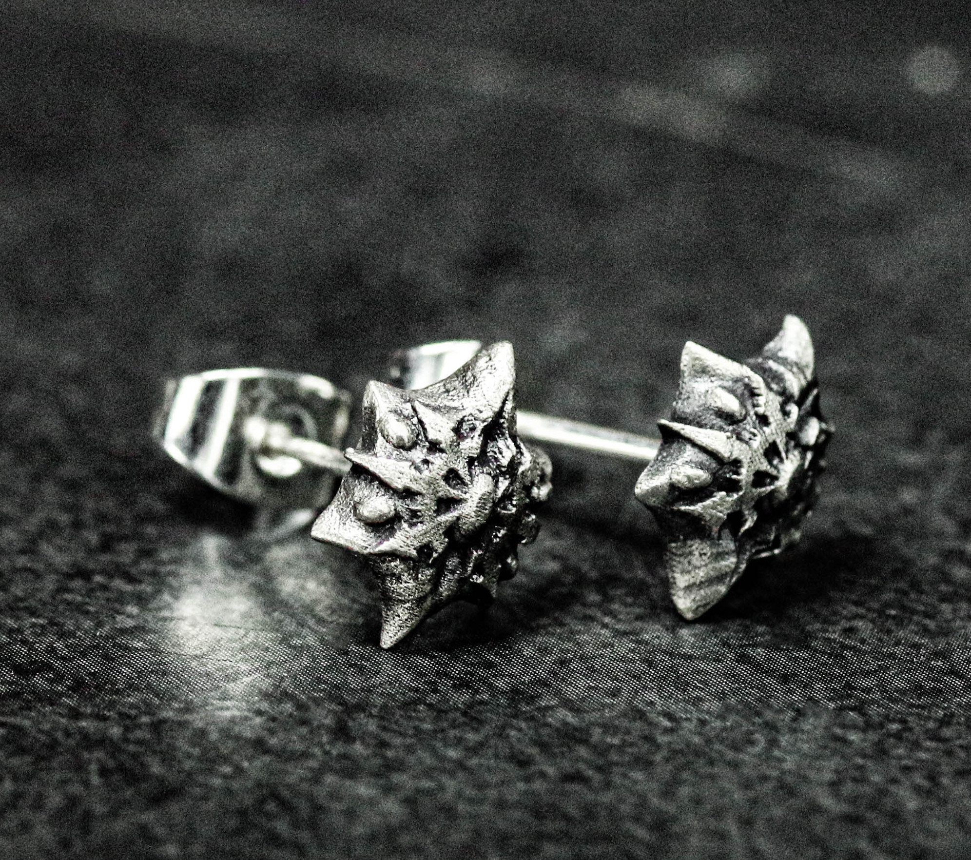 スターゲイトジュエリー 魔法のシルバーピアス ユニセックスジュエリー カートグラファージュエリー ブライダルギフト 花嫁