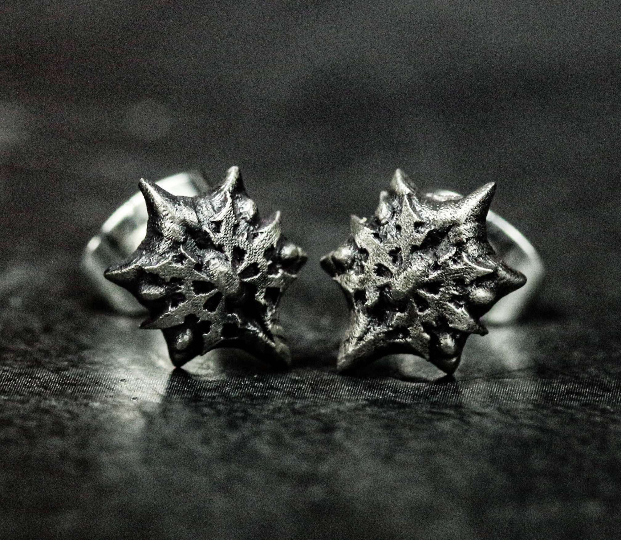 スターゲイトジュエリー 魔法のシルバーピアス ユニセックスジュエリー カートグラファージュエリー ブライダルギフト 花嫁