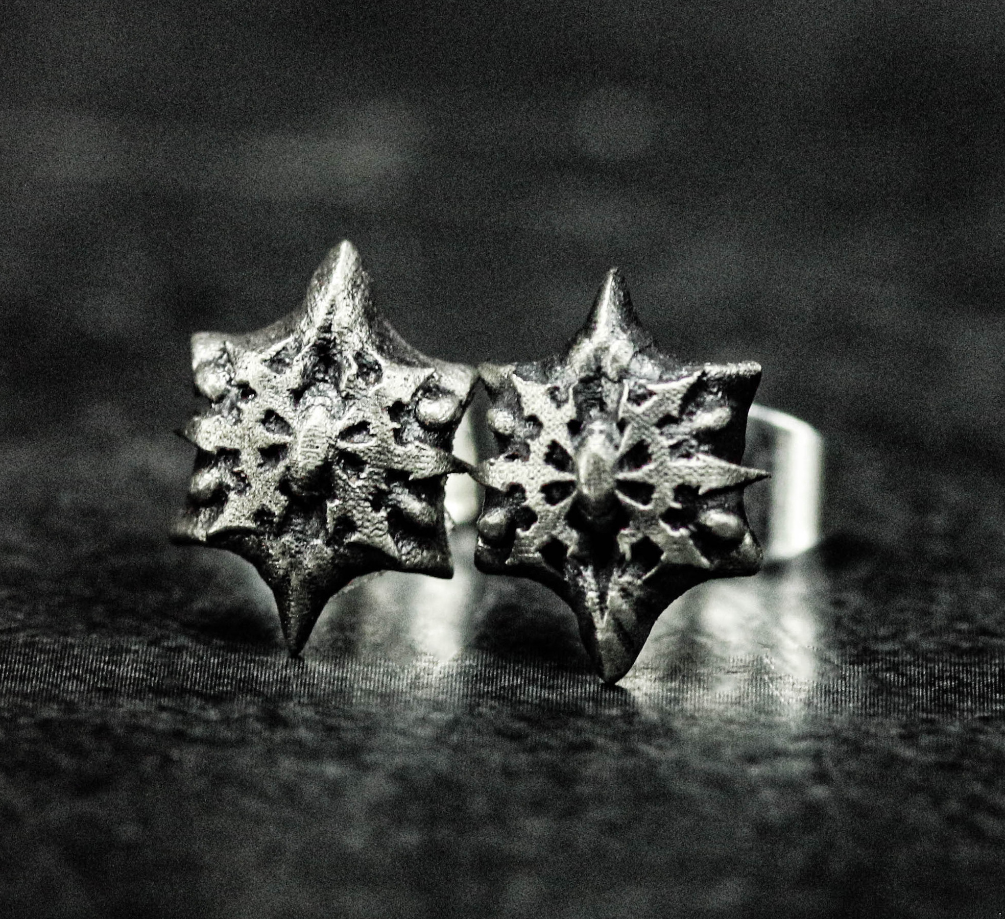 スターゲイトジュエリー 魔法のシルバーピアス ユニセックスジュエリー カートグラファージュエリー ブライダルギフト 花嫁