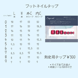 測定用チップ/計測用チップ/ネイルチップ【フットネイル】 2枚目の画像