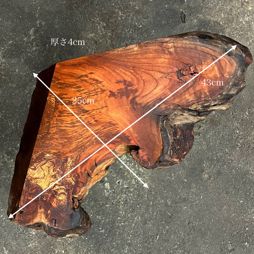 衝立 一枚板 無垢 龍 ドラゴン 梅