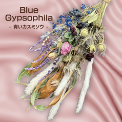 【ドライフラワー】Blue Gypsophila - 青いカスミソウ - 1枚目の画像