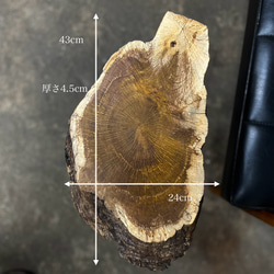 樫の輪切りの一枚板サイドテーブル 14枚目の画像