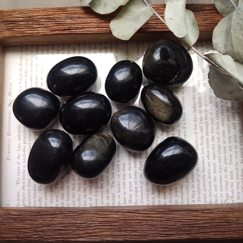 ゴールドシーンオブシディアン タンブル その他インテリア雑貨 Clear