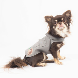 ジャケット トップス グレー アウター あったか かわいい 上着 ドッグウェア 秋 冬 小型犬用 犬服 猫服 P214 6枚目の画像