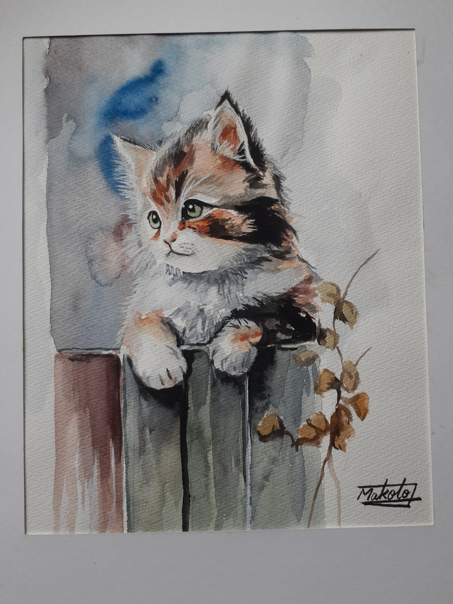 水彩画 可愛い子猫 絵画 makochin 通販 17139645|Creema(クリーマ) 水彩画 可愛い子猫 絵画 makochin 通販 17139645|Creema(クリーマ)