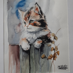 水彩画 キュートで可愛い子猫 絵画 makochin 通販 18518282