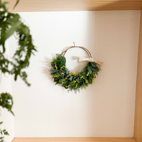 ミモザリース　パールアカシア　ユーカリ 女性に人気♡ ミモザ パールアカシア 美しい葉 苗 鉢 シンボル