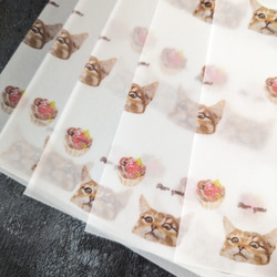 トレーシングデザインペーパー 5枚 トラ猫と苺チョコタルト forYou 4枚目の画像