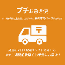 ♡ お急ぎ Amazon | 【KoreYo】クッション封筒 Mサイズ対応 A5外寸
