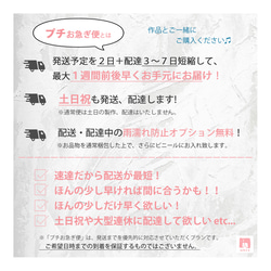 ■10,000円未満でご購入の方の【プチお急ぎ便】 ちょっとだけ早く欲しい方に！ 2枚目の画像