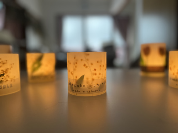 〜natural mimosa〜：LEDライト付キャンドルホルダー　ソイキャンドル　プレゼント・ギフト・インテリアにも　 1枚目の画像