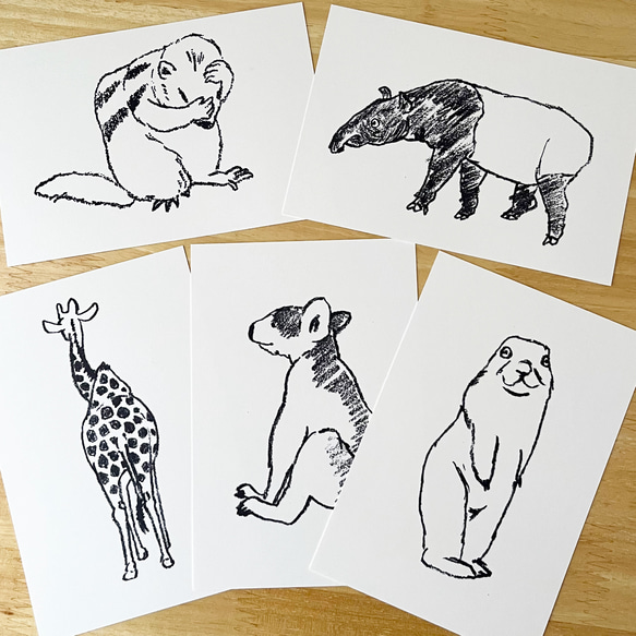ポストカード ユーモラスな動物たち❤︎ モノクロカード