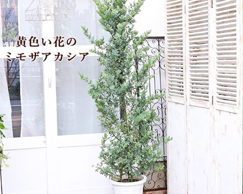 1f70be191dc310eef7e8a117ddd236